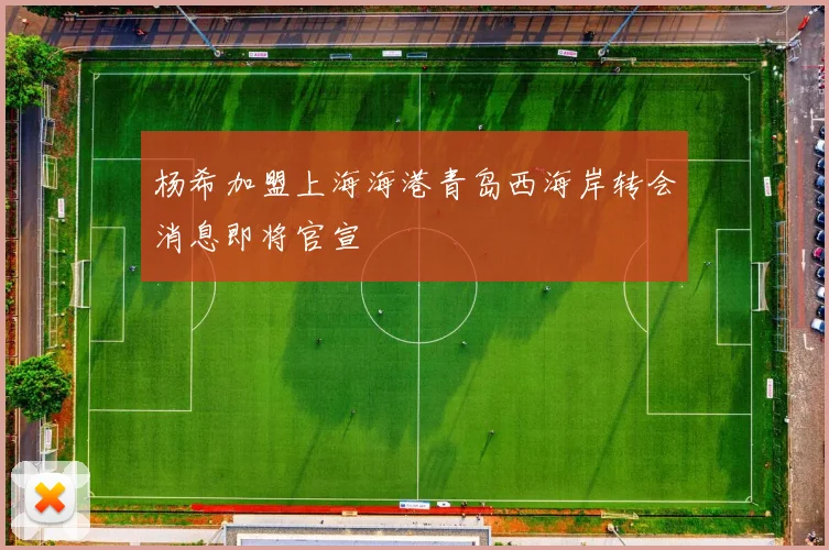 杨希加盟上海海港青岛西海岸转会消息即将官宣