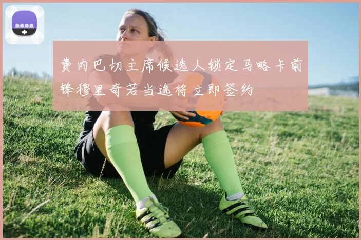 费内巴切主席候选人锁定马略卡前锋穆里奇若当选将立即签约